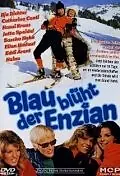 Постер к фильму «Blau blüht der Enzian (1973)»
