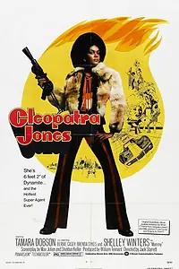 Постер к фильму «Клеопатра Джонс (1973)»
