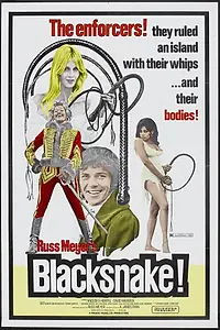 Главный постер фильма «Черная змея (1973)»