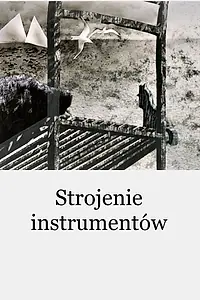 Главный постер мультфильма «Настройка инструментов (2000)»