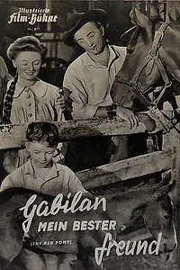 Постер к фильму «Рыжий пони (1949)»