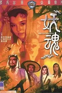 Постер к фильму «Чародейка (1983)»
