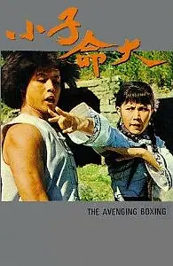 Постер к фильму «Бесстрашный юный боксер (1979)»