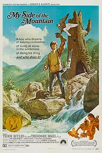 Главный постер фильма «Моя сторона горы (1969)»