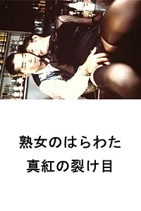 Постер к фильму «Jukujo no harawata: Shinku no sakeme (1997)»