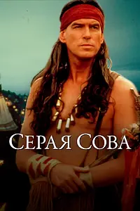 Постер к фильму «Серая сова (1998)»