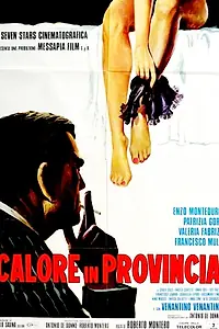 Главный постер фильма «Жара в провинции (1975)»