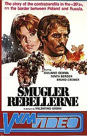 Главный постер фильма «Любовник большой медведицы (1971)»