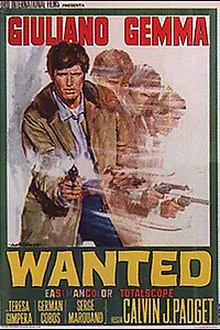 Главный постер фильма «В розыске (1967)»