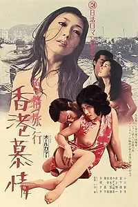 Постер к фильму «Эротическое приключение: Интрижка в Гонконге (1973)»