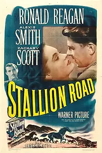 Главный постер фильма «Конный путь (1947)»