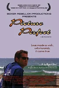 Постер к фильму «Picture Perfect (2002)»