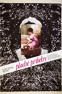 Постер к фильму «Робкие истории (1982)»