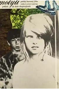 Постер к фильму «Бабочка (1972)»