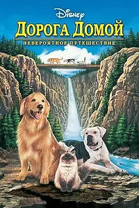 Постер к фильму «Дорога домой: Невероятное путешествие (1993)»