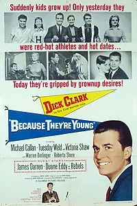 Постер к фильму «Потому что они молодые (1960)»