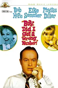 Постер к фильму «Боже, я ошиблась номером (1966)»
