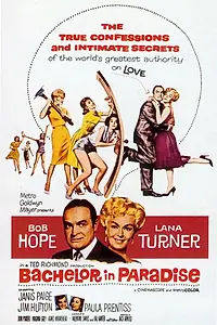 Главный постер фильма «Холостяк в раю (1961)»