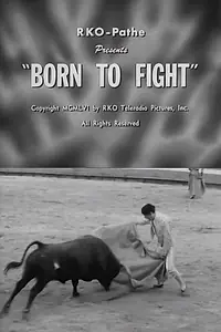 Постер к фильму «Born to Fight (1956)»