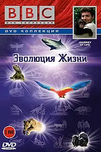 Главный постер сериала «BBC: Эволюция жизни (2005)»