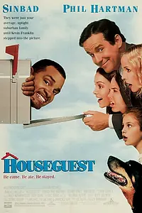 Постер к фильму «Гость (1994)»