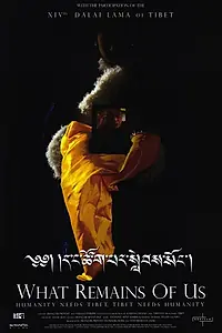 Главный постер фильма «Что от нас осталось (2004)»