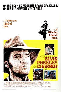 Постер к фильму «Чарро (1969)»