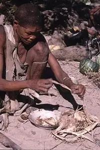 Постер к фильму «Горькие дыни (1971)»
