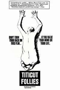 Главный постер фильма «Безумцы Титиката (1967)»
