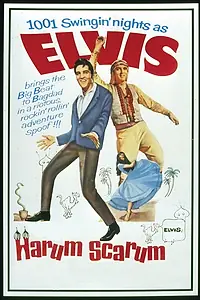 Главный постер фильма «Каникулы в гареме (1965)»