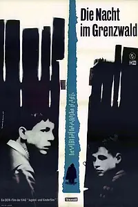 Главный постер фильма «Ночь в пограничном лесу (1968)»