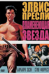 Главный постер фильма «Пламенеющая звезда (1960)»