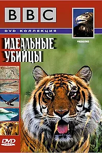 Главный постер сериала «BBC: Идеальные убийцы (2000)»