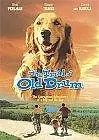 Постер к фильму «Дело старины Драма (2000)»