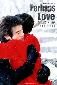 Постер к фильму «Возможно, любовь (2005)»