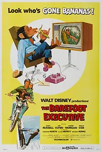 Постер к фильму «Босой руководитель (1971)»