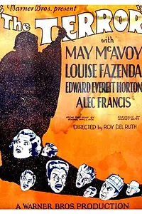 Постер к фильму «Террор (1928)»