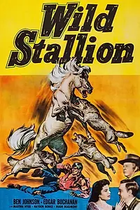 Главный постер фильма «Дикий жеребец (1952)»