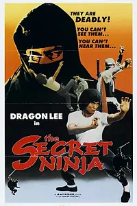 Главный постер фильма «Секрет ниндзя (1982)»