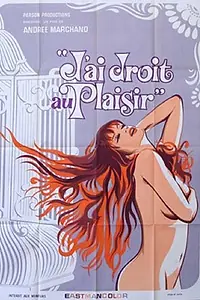 Главный постер фильма «Имею право на удовольствие (1976)»