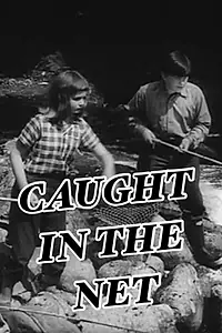 Главный постер фильма «Caught in the Net (1960)»