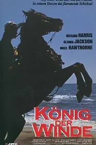 Постер к фильму «Быстрее ветра (1990)»