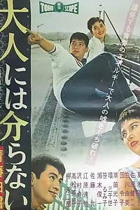 Главный постер фильма «Otona niwa wakaranai: Seishun hakusho (1958)»