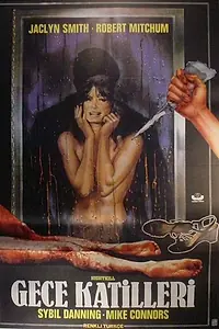Главный постер фильма «Ночное убийство (1980)»