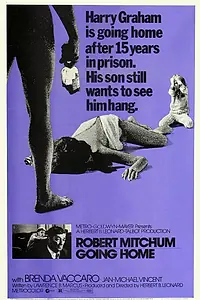 Постер к фильму «Иди домой (1971)»