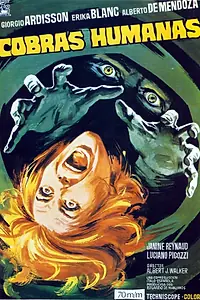 Главный постер фильма «Человек ядовитее кобры (1971)»