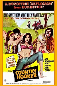 Главный постер фильма «Сельские шлюхи (1974)»