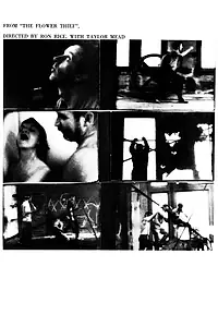 Главный постер фильма «Похититель цветов (1960)»