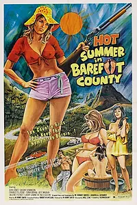 Постер к фильму «Жаркое лето в округе Бэрфут (1974)»
