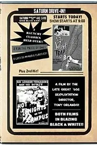Главный постер фильма «Hot Nights on the Campus (1966)»